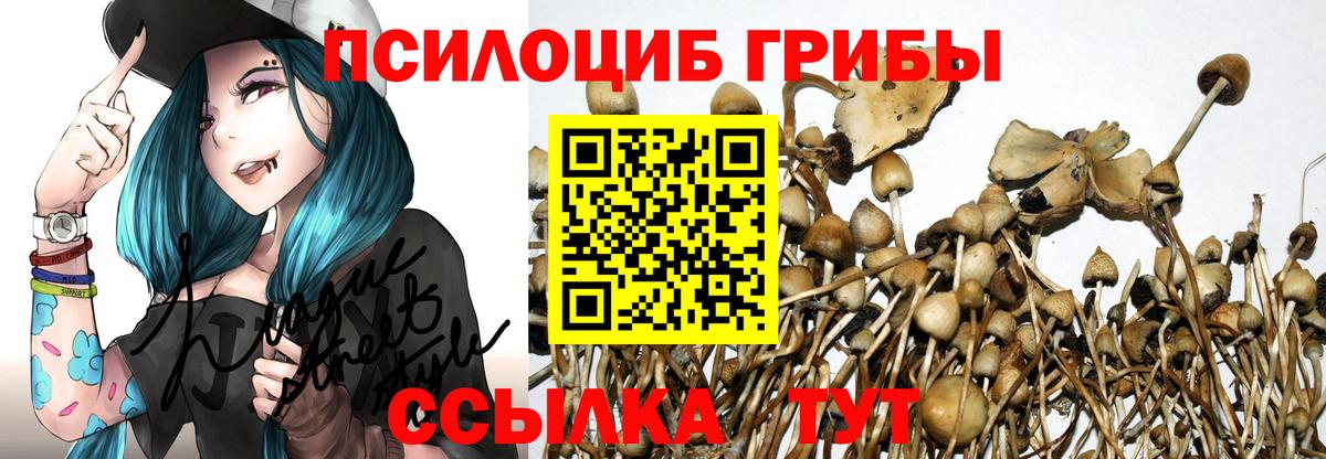 Среднеуральск  Псилоцибиновые грибы MAGIC MUSHROOMS  Псилоцибиновые грибы мицелий  Вход с VPN 